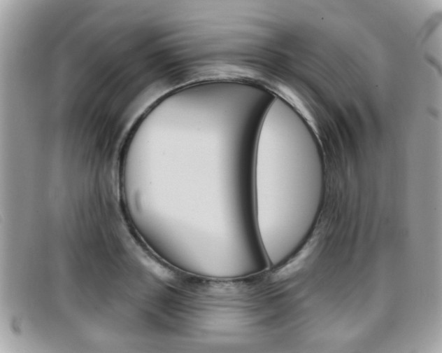 X0000096710843200802051036