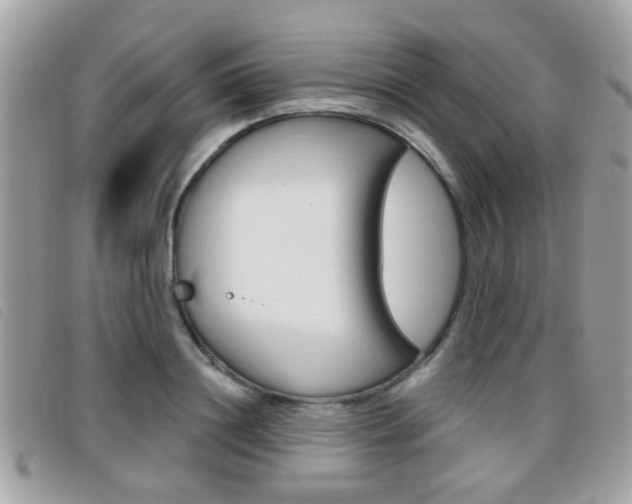 X0000096710844200802051036
