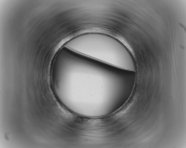 X0000096710845200802051036