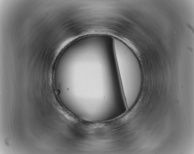 X0000096710846200802051036