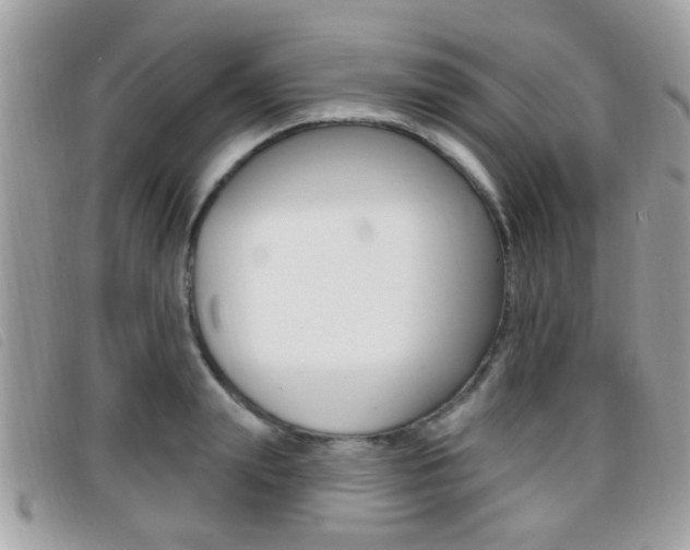 X0000096710847200802051036