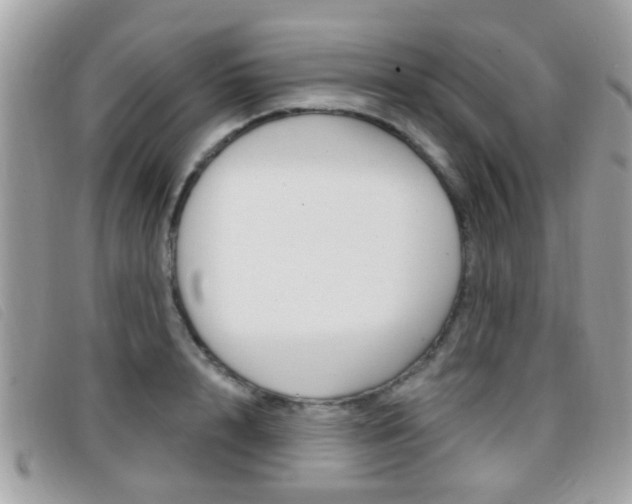 X0000096710848200802051036
