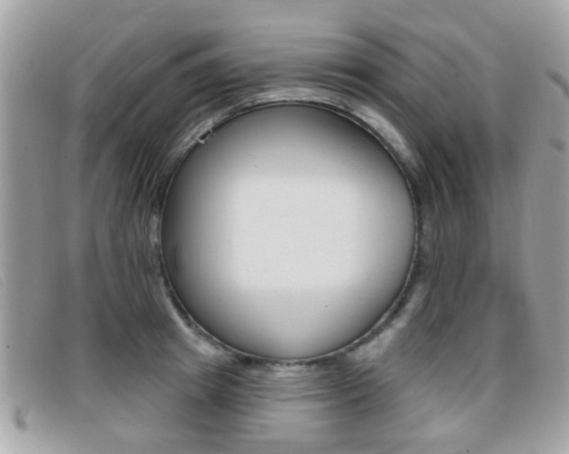 X0000096710849200802051036