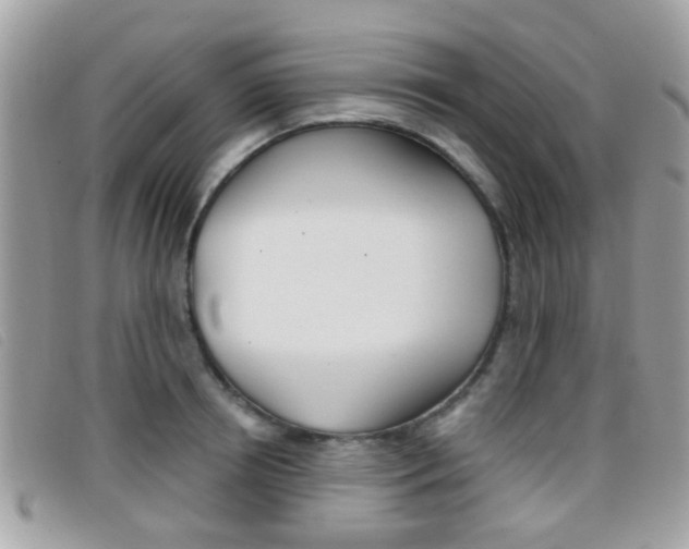 X0000096710850200802051036