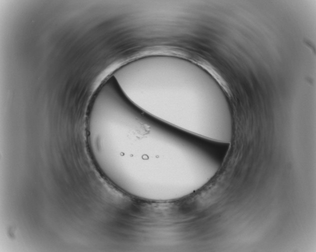 X0000096710853200802051036