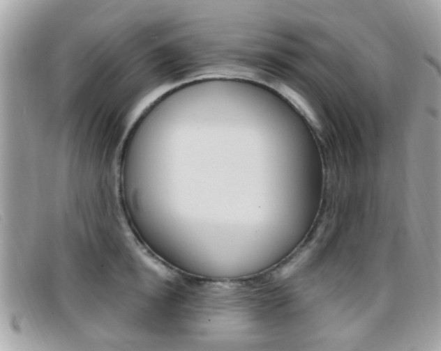 X0000096710854200802051036