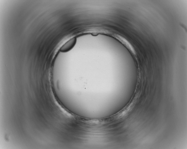 X0000096710855200802051036