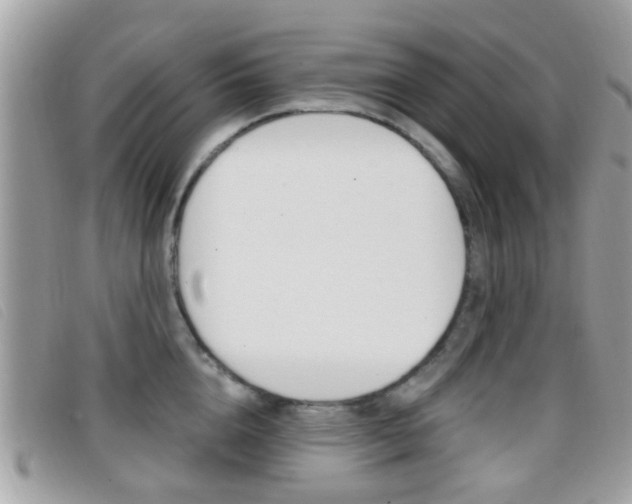 X0000096710856200802051036