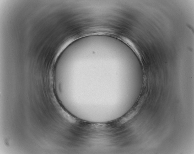 X0000096710859200802051036