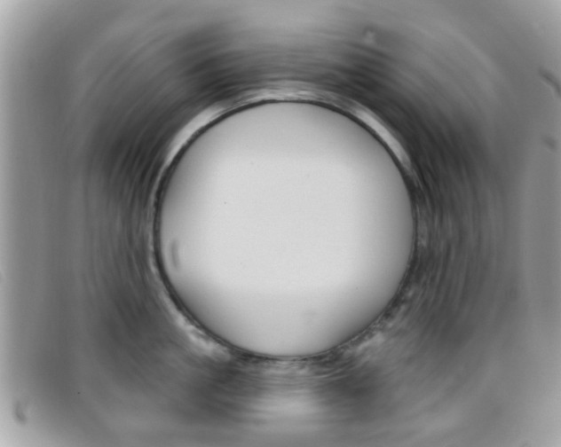 X0000096710861200802051036