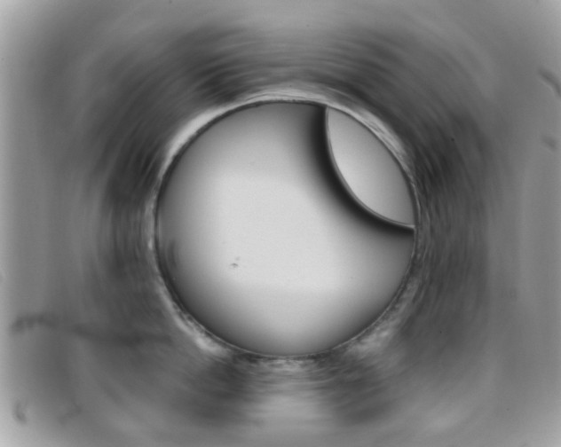 X0000096710862200802051036