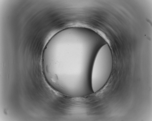 X0000096710863200802051036