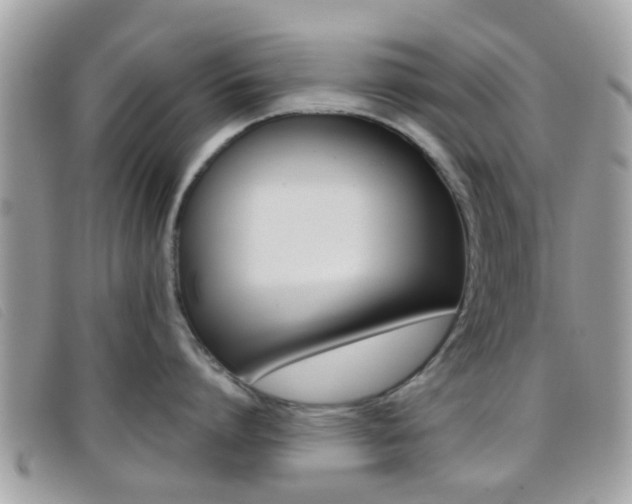 X0000096710864200802051036