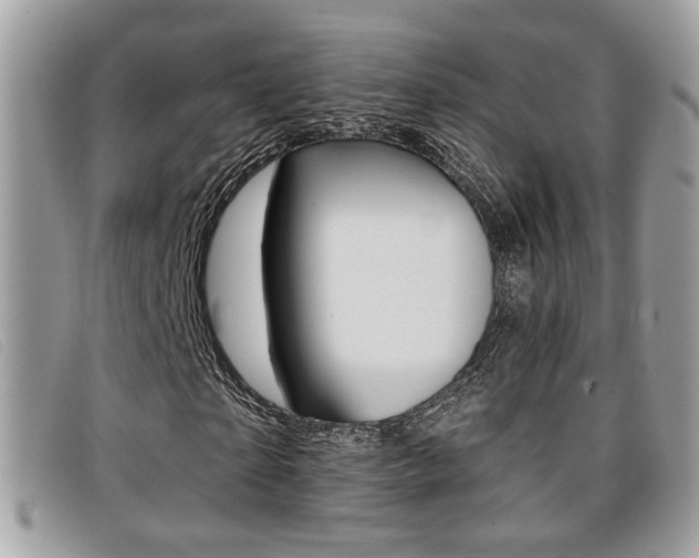 X0000096710865200802051035