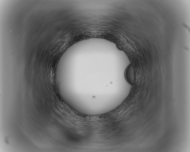 X0000096710866200802051035