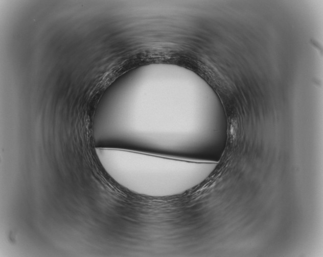 X0000096710867200802051035