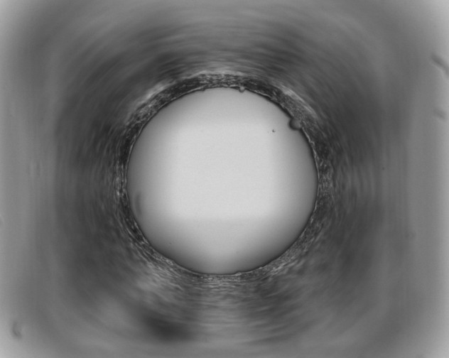 X0000096710870200802051035