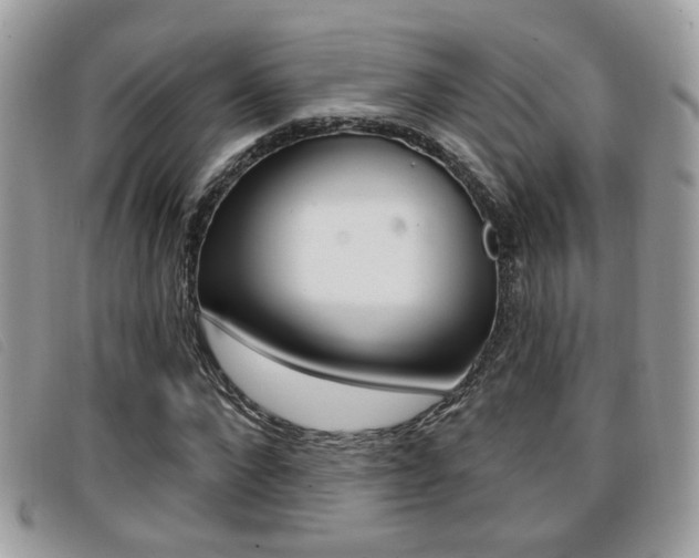 X0000096710872200802051035
