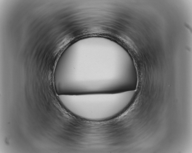 X0000096710873200802051035