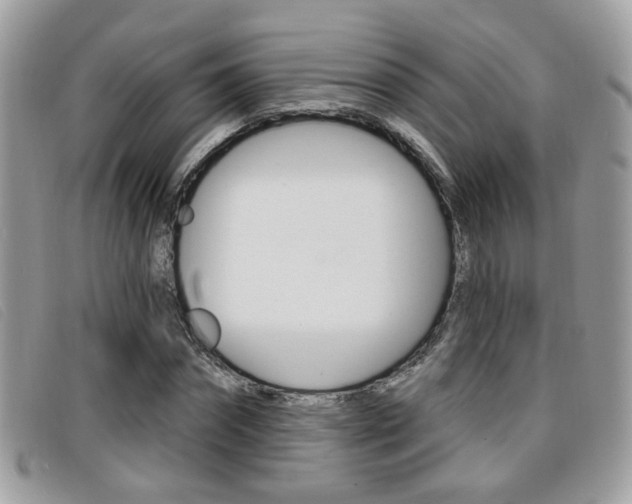 X0000096710874200802051035
