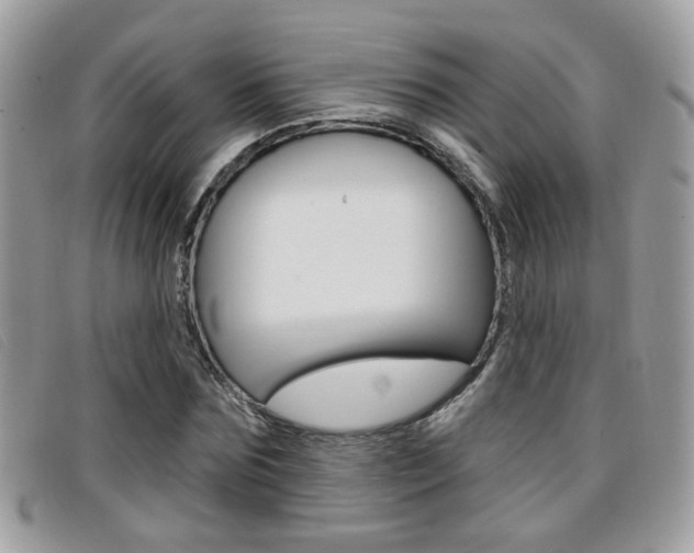 X0000096710875200802051035