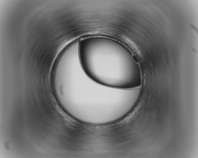 X0000096710876200802051035