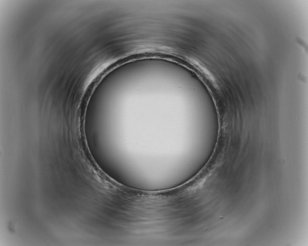 X0000096710877200802051035