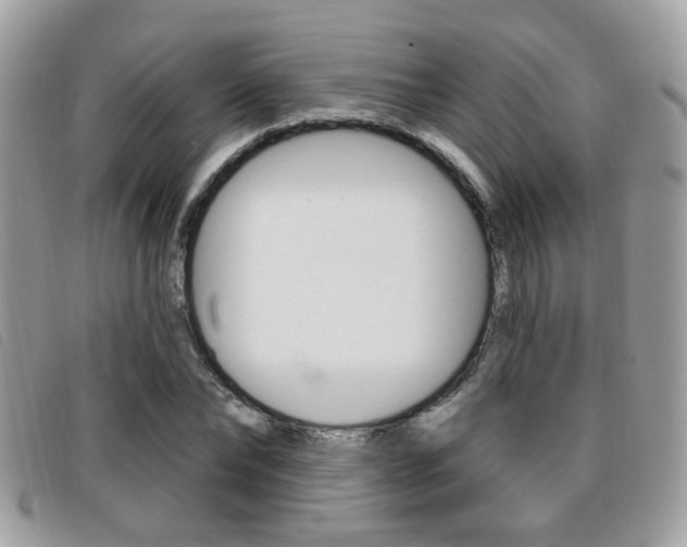 X0000096710878200802051035