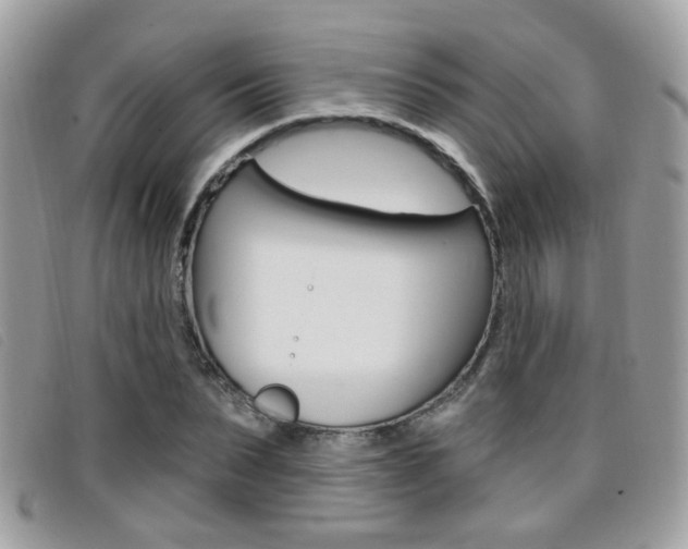 X0000096710879200802051035