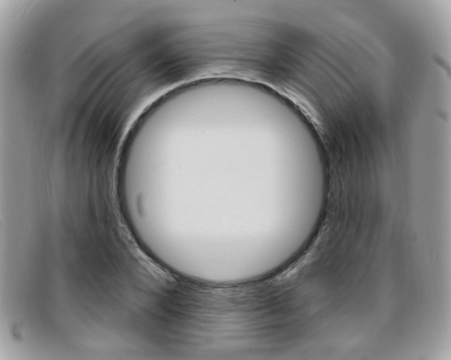 X0000096710880200802051035