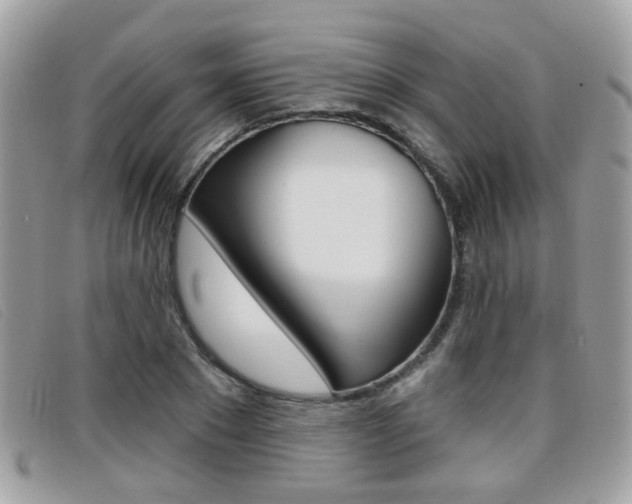 X0000096710881200802051035
