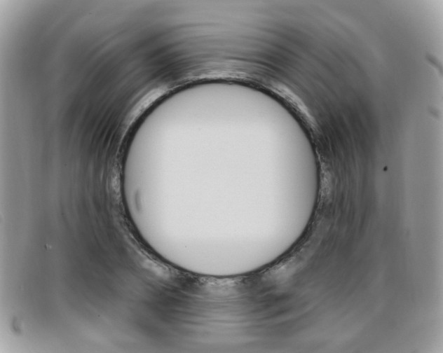 X0000096710882200802051035