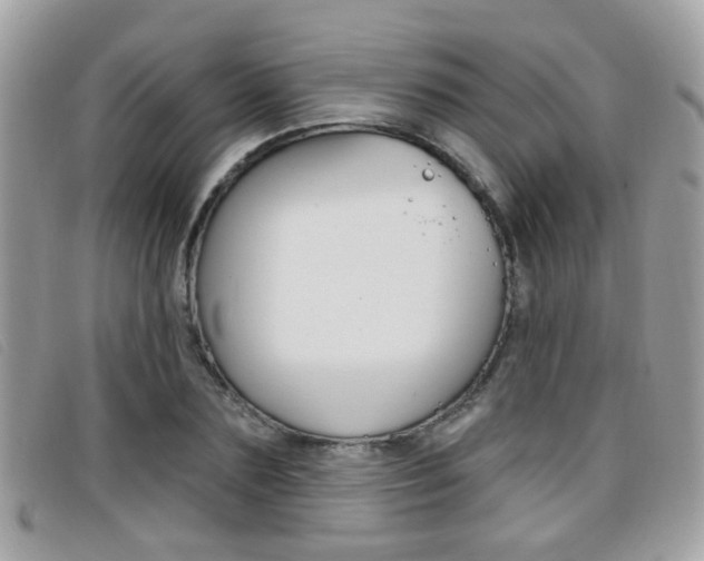 X0000096710883200802051035
