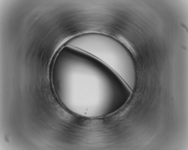 X0000096710884200802051035