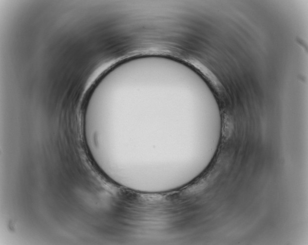 X0000096710886200802051035