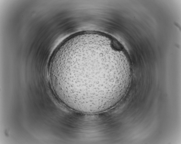 X0000096710887200802051035