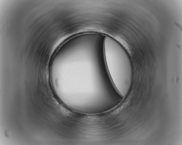 X0000096710888200802051035