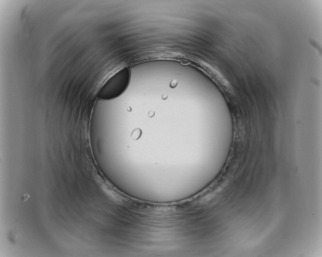 X0000096710889200802051035