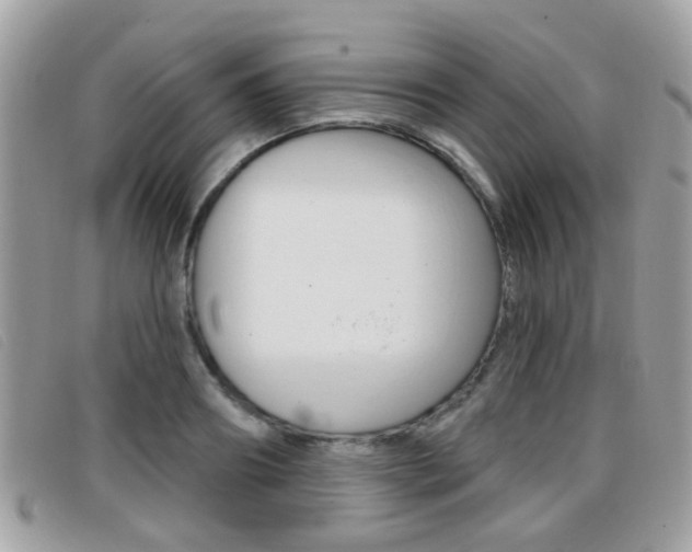 X0000096710890200802051035