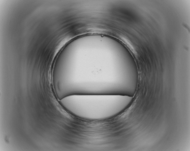 X0000096710891200802051035