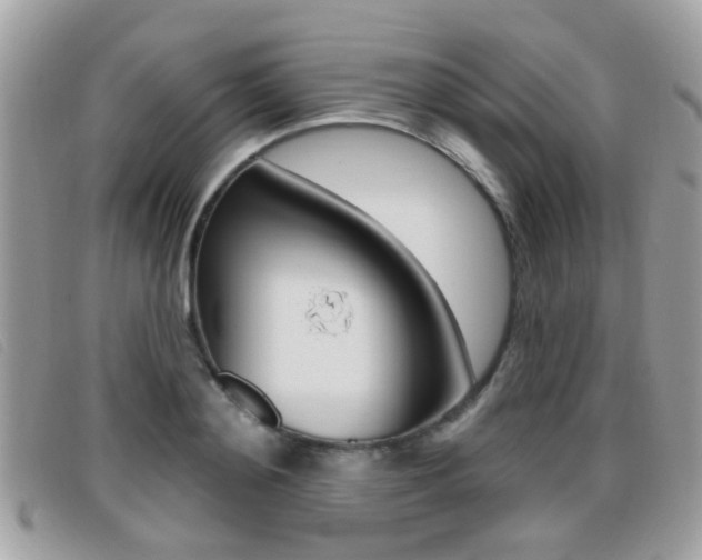 X0000096710892200802051035