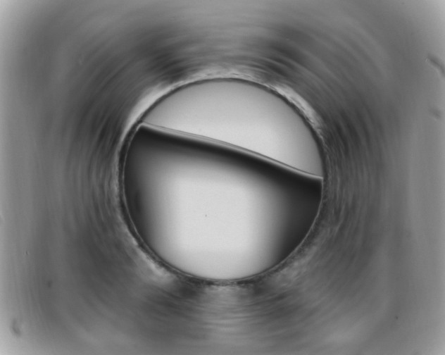 X0000096710894200802051035