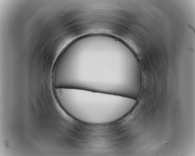 X0000096710895200802051035