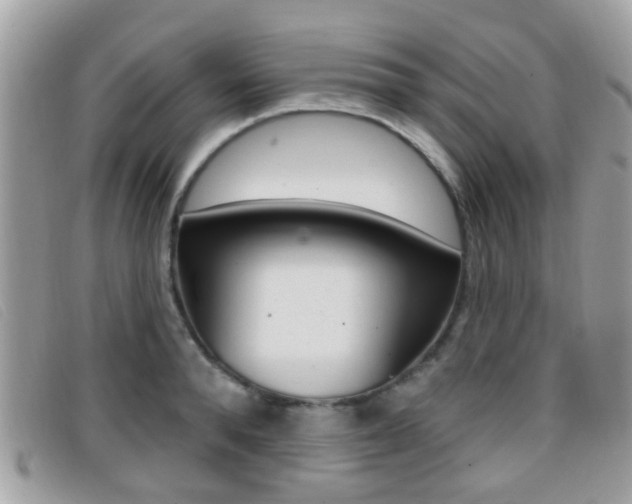 X0000096710896200802051035