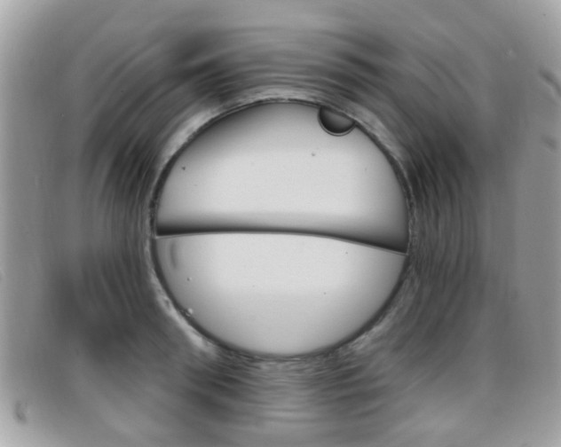 X0000096710898200802051035