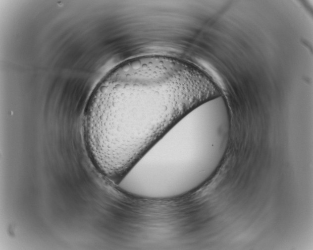 X0000096710899200802051035