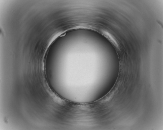 X0000096710900200802051035