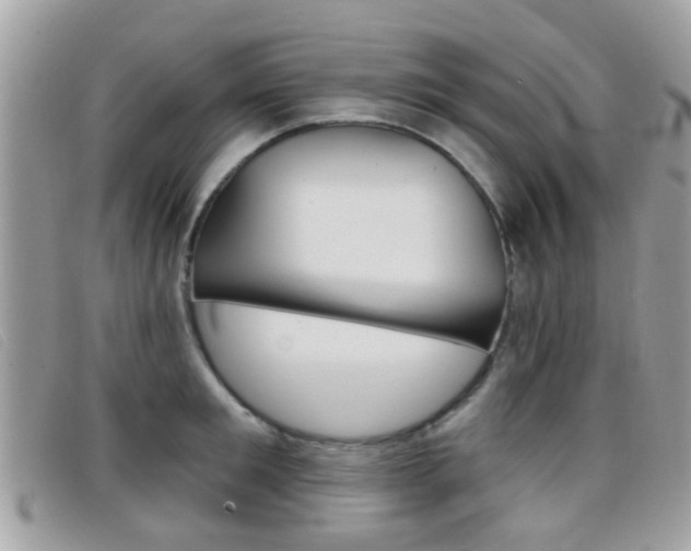 X0000096710901200802051035