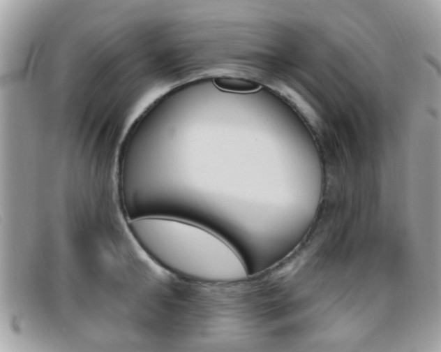 X0000096710902200802051035