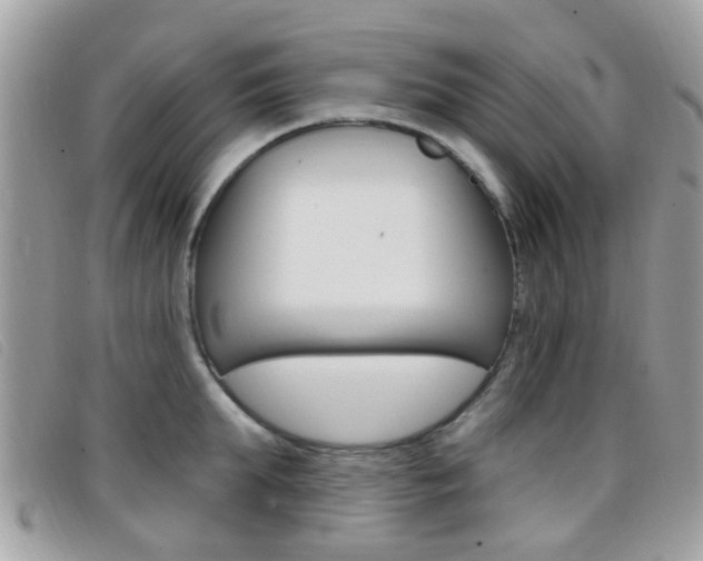X0000096710903200802051035